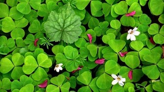 Large Spring Desktop Background Wallpaper HD Background