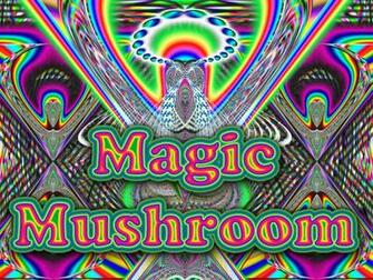 Magic Mushroom Wallpaper Release Date Price And Specs