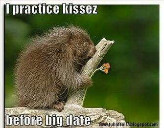 Funny Animals Pictures With Text Part Full N