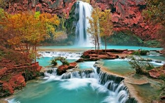 Beautiful Wallpaper For Desktop Forestwonders
