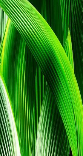 To Bring Plenty Of New Awesome Background And Wallpaper Ios