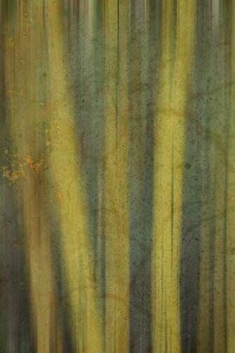 Bamboo Element Wall Mural Contemporary Wallpaper By Murals Your