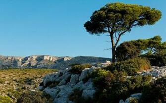 Provence France Wallpaper Android Apps On Google Play