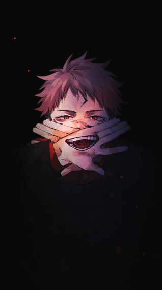 Yuji Itadori Jujutsu Kaisen Anime Rare Gallery HD