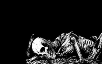 Bones Background Texture Photo Skull And