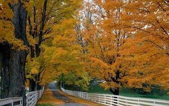 Nature Wallpaper Background