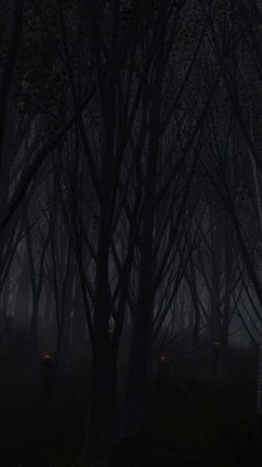 Dark Forest iPhone Wallpaper