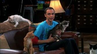 Tags Big Bang Theory HD Wallpaper Desktop