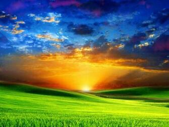 The Wallpaper New HD Nature