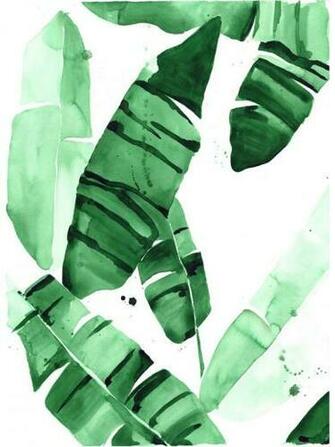 Tropical Prints Leaves And Floral Patterns