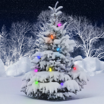 Christmas Tree Lights Snow Holiday Pfp Wallpaper