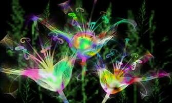 Wallpaper It S Wonderful Collection Of Neon Flowers HD