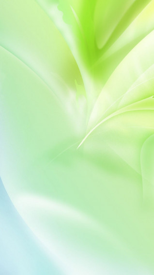 Line Light Green White iPhone Wallpaper