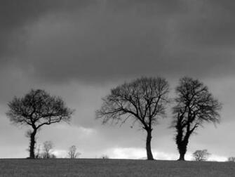 Free download HD Wallpapers High definition Wallpapers [2560x1440] for your Desktop, Mobile