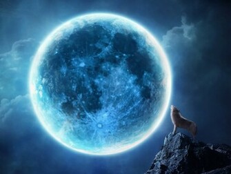 Howling Wolf Wallpaper HD In Animals Imageci