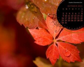 Wallpaper Red Leaves Desktop