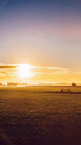 Sunny Morning Farm Peace Nature Flare iPhone 5s Wallpaper