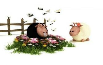 Black Sheep And White Wallpaper