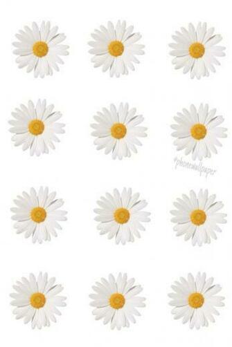 Daisy Mine Overlay Transparent Wallpaper