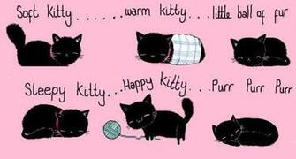 Cat Sheldon The Big Bang Theory Image On Favim