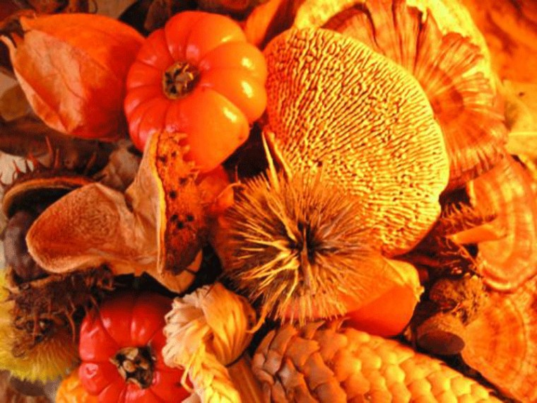 Holiday Wallpaper Thanksgiving Desktop