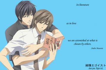 Junjou Romantica Manga Quotes