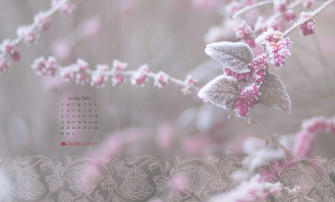 Calendar Wallpaper January To Amber