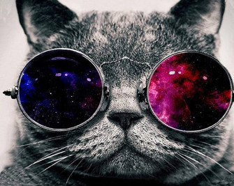 Cool Cat With Glasses Wallpaper Customized Rectangle Non Slip