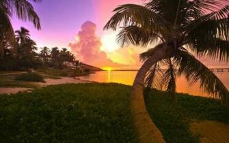 Tropical Sunset Background HD Wallpaper Background Desktop