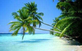 Nice Nature Wallpaper For Desktop Background