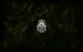 Canadian Armed Forces Wallpaper By Evad1