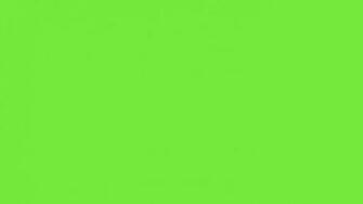 Light Lime Green Wallpaper HD Image Size