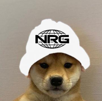 Nrg Dogwifhat Dog Image Cute Wallpaper Icon
