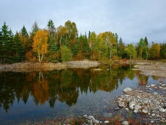 Wallpaper Size Fall Algonquin Park Canada