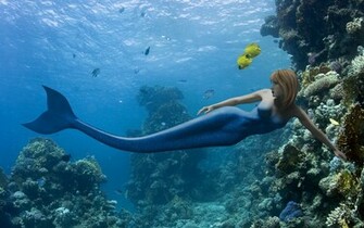 Related Pictures Mermaid Wallpaper Desktop