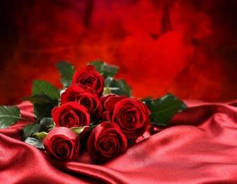 Love Bouquet Flowers Red Roses 4k Wallpaper Best