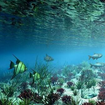 Beautiful Underwater iPad Wallpaper