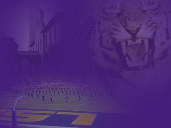 Lsu Football Wallpaper Background Theme Desktop
