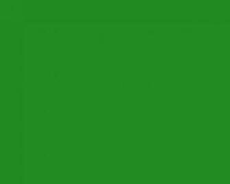 Green Color Background Web Solid