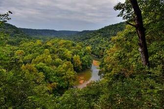 Picture Usa Mammoth Cave National Park Nature Parks Forests Trunk