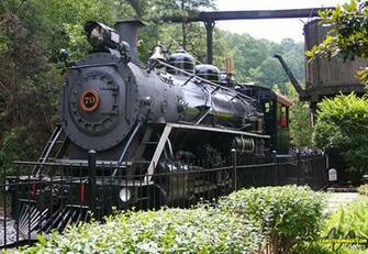 Dollywood Rides Coasterimage