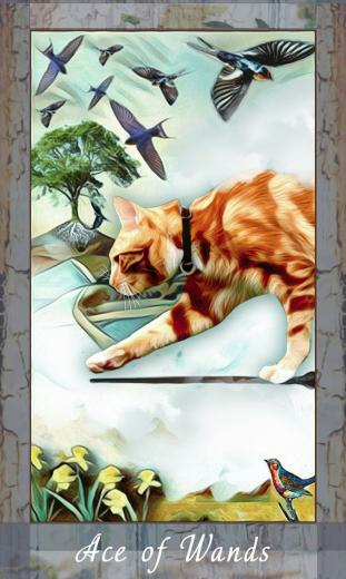Grimalkin Tarot First Update With Image Decks