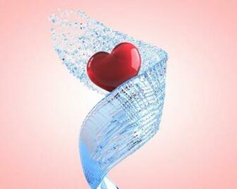 Valentines Day Winter Love HD Wallpaper Widescreen