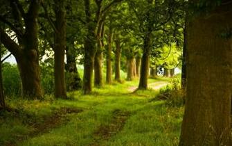Daily Wallpaper Back Road I Like To Waste My Time