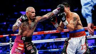 Cotto Autographed Memorabilia