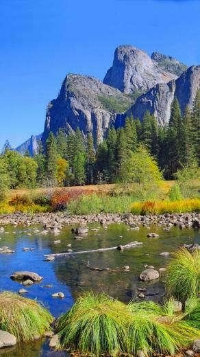 Wallpaper Os Macbook Yosemite 5k Forest Osx Apple