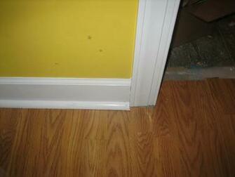 Cherry Wood Crown Molding Wallpaper Border Img