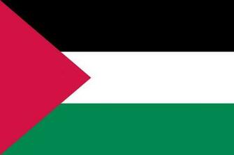 Palestine Flag Bandera De Palestina Wallpaper