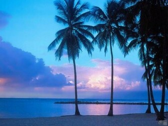 Tropical Storm Wallpaper HD Background Image Pictures