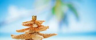 Club Members To Celebrate Paradise With A Christmas Time Boat Outing